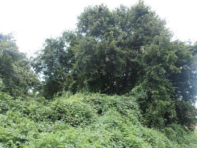 336 sqm Land for Sale in Fujimi-cho, Maebashi, Gunma - Thumbnail 3