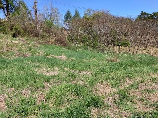 Agricultural Land for Lease in Kiyosato, Hokuto, Yamanashi - Thumbnail 4