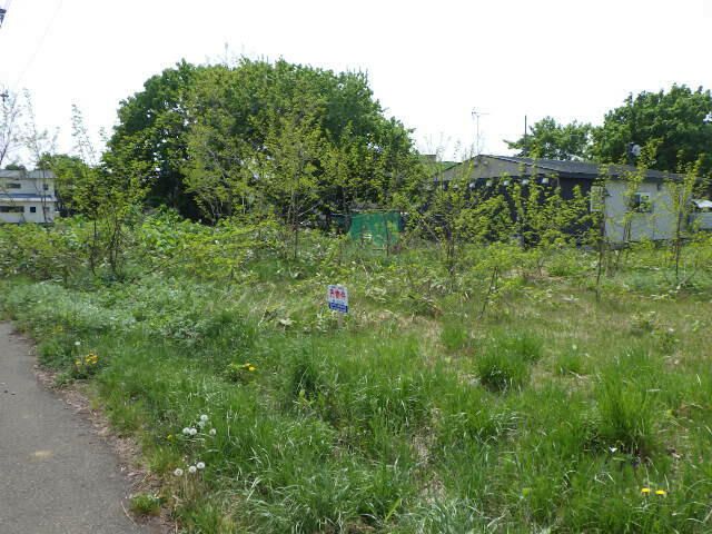 Land for Sale in Ishikari, Hokkaido - 217.5 sqm Plot - Thumbnail 4