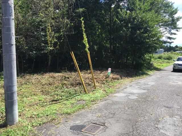 Land for Sale in Nikko, Tochigi - 299 sqm - Thumbnail 3