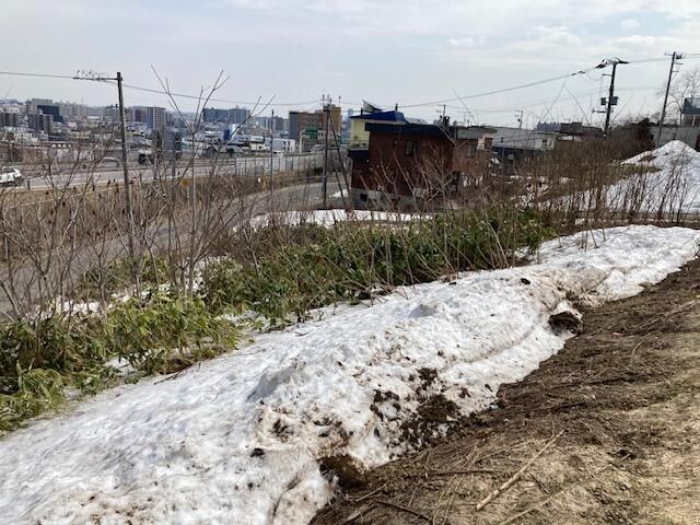 1200sqm Corner Development Land for Rent in Teine-ku, Sapporo - Thumbnail 2
