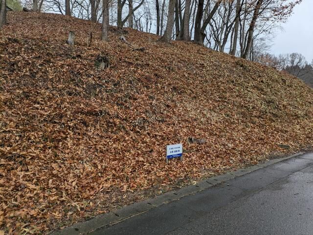 Vacant Residential Land for Sale in Nasukarasuyama, Tochigi - Thumbnail 2