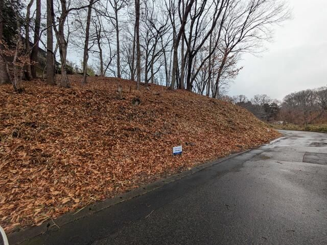 Vacant Residential Land for Sale in Nasukarasuyama, Tochigi - Thumbnail 3