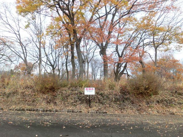 600 sqm Residential Land for Sale in Myoko, Niigata - Thumbnail 2