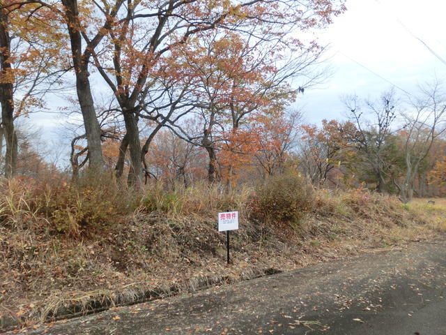 600 sqm Residential Land for Sale in Myoko, Niigata - Thumbnail 4