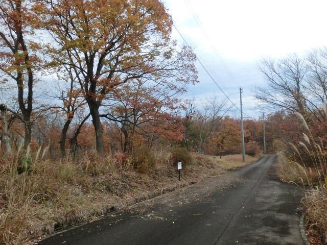 600 sqm Residential Land for Sale in Myoko, Niigata - Thumbnail 3