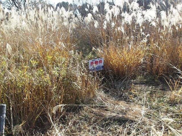 Land for Sale in Tsuchiura, Ibaraki - 143 sqm - Thumbnail 3