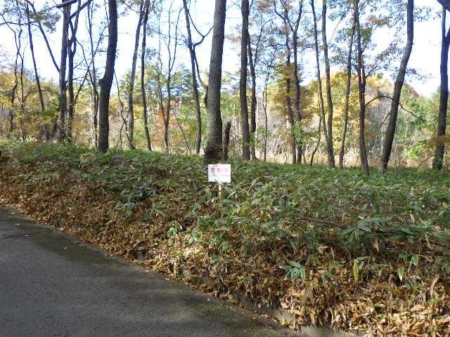 Land for Sale in Hokuto City, Yamanashi - 610 sqm - Thumbnail 4