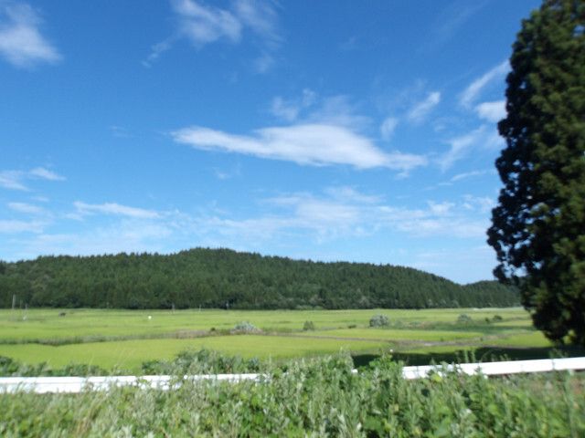 209 sqm Land for Sale in Agano City, Niigata - Thumbnail 4