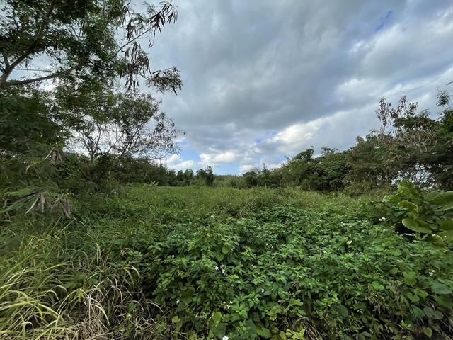 2,279 sqm Land for Sale in Miyakojima, Okinawa - Villa Development - Thumbnail 3