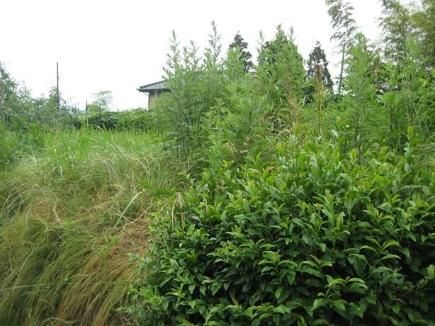 Land for Sale in Iida, Nagano - 257 sqm Plot with Utilities - Thumbnail 3