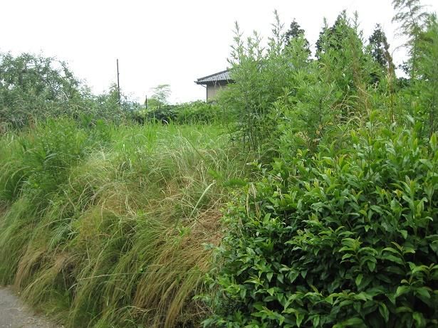 Land for Sale in Iida, Nagano - 257 sqm Plot with Utilities - Thumbnail 2
