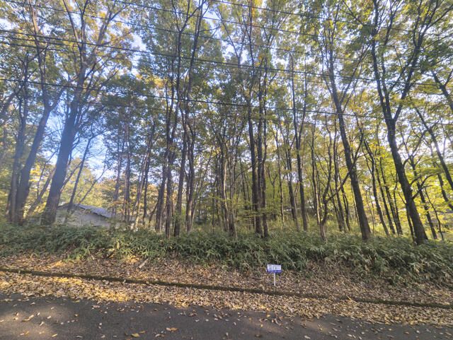 Land for Sale in Nasu, Tochigi - 1,292 sqm Plot - Thumbnail 4