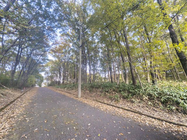 Land for Sale in Nasu, Tochigi - 1,292 sqm Plot - Thumbnail 3