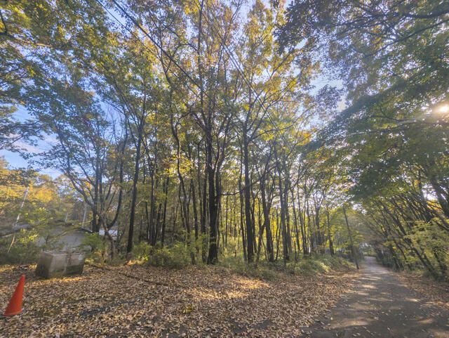 Land for Sale in Nasu, Tochigi - 1,292 sqm Plot - Thumbnail 2