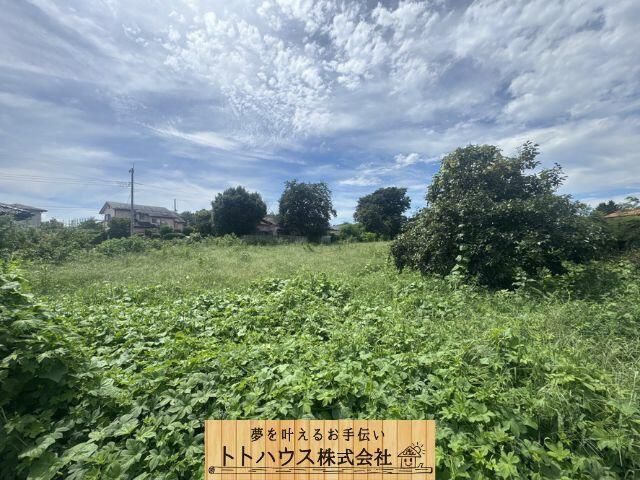 Land for Sale in Maebashi City, Gunma - 2,223 sqm - Thumbnail 4