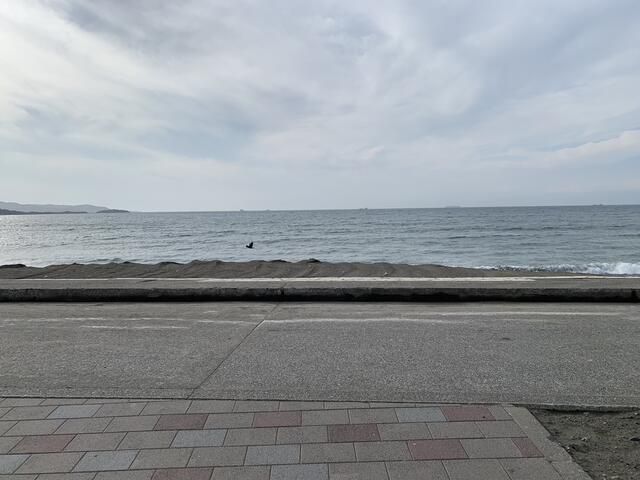Commercial Land in Tateyama, Chiba – 3,767 sqm Corner Lot - Thumbnail 3
