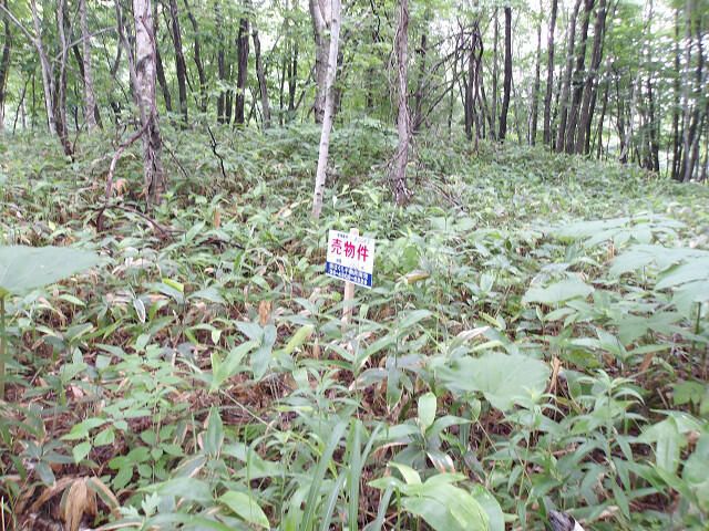 160 sqm Land for Sale in Kitahiroshima, Hokkaido - Thumbnail 4