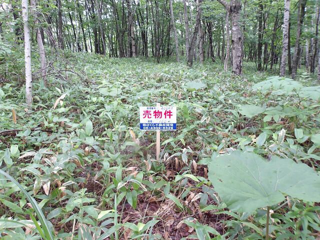 160 sqm Land for Sale in Kitahiroshima, Hokkaido - Thumbnail 2