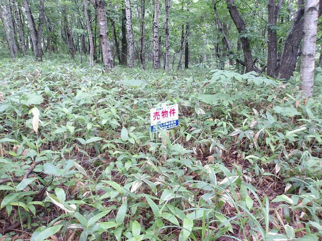160 sqm Land for Sale in Kitahiroshima, Hokkaido - Image 1
