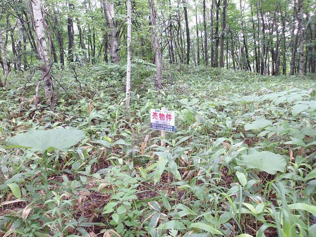 160 sqm Land for Sale in Kitahiroshima, Hokkaido - Thumbnail 3
