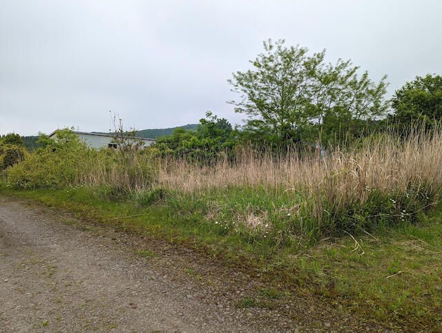 281 sqm Land Plot in Nanae Town, Hokkaido for Sale - Thumbnail 2