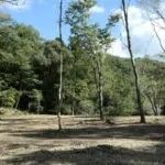 Land for Sale Near Shikumi Waterfalls in Tamba Sasayama, Hyogo - Thumbnail 2