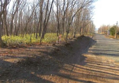 Oak Woodland for Sale in Teshikaga, Hokkaido - 12,158 sqm - Thumbnail 2
