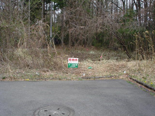 303 sqm Residential Land for Sale in Nikko, Tochigi - Thumbnail 2