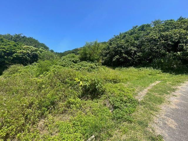 3,530 sqm Land for Sale in Motobu, Okinawa with Water & Electricity - Thumbnail 2