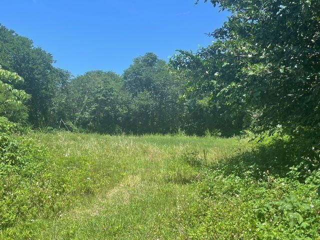 3,530 sqm Land for Sale in Motobu, Okinawa with Water & Electricity - Thumbnail 3