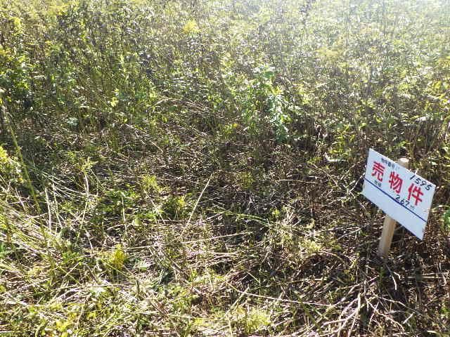 Land for Sale in Eniwa, Hokkaido - 267 sqm Plot - Thumbnail 2