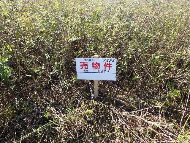 Land for Sale in Eniwa, Hokkaido - 267 sqm Plot - Thumbnail 4