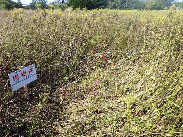 Land for Sale in Eniwa, Hokkaido - 267 sqm Plot - Thumbnail 3