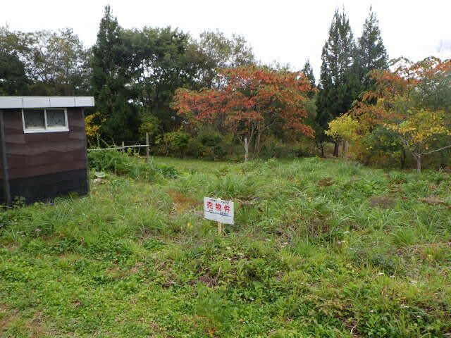 344 sqm Land for Sale in Hakodate, Hokkaido with Road Access - Thumbnail 4