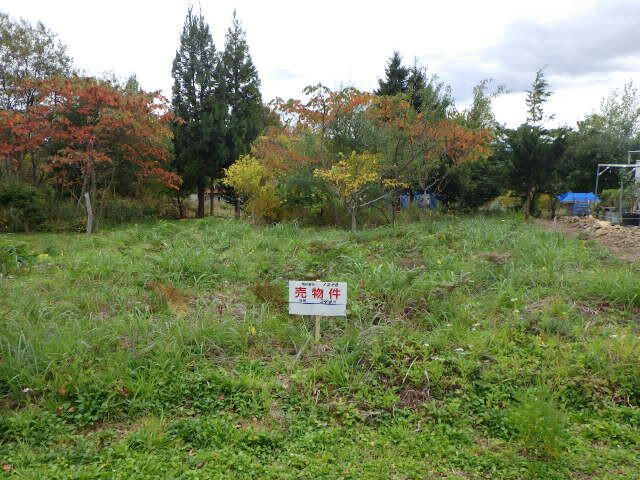 344 sqm Land for Sale in Hakodate, Hokkaido with Road Access - Thumbnail 2