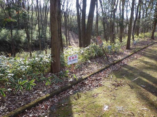Land for Sale in Nasu Town, Tochigi - 352 sqm - Thumbnail 2