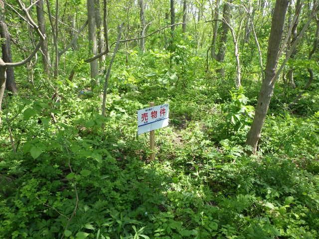 Land for Sale in Kita Ward, Sapporo, Hokkaido - 1156 sqm - Thumbnail 2
