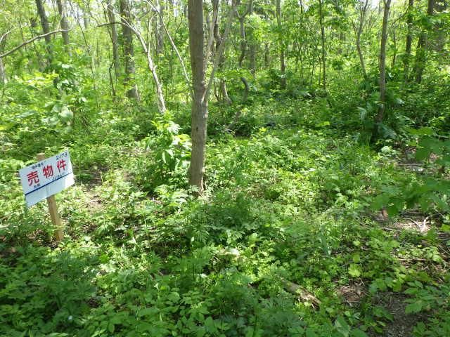 Land for Sale in Kita Ward, Sapporo, Hokkaido - 1156 sqm - Thumbnail 3