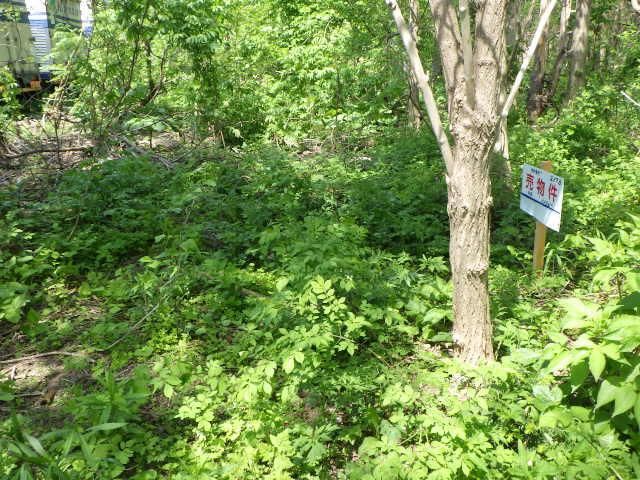 Land for Sale in Kita Ward, Sapporo, Hokkaido - 1156 sqm - Thumbnail 4