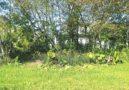 Land with Hot Spring Rights for Sale in Teshikaga, Hokkaido - Thumbnail 4