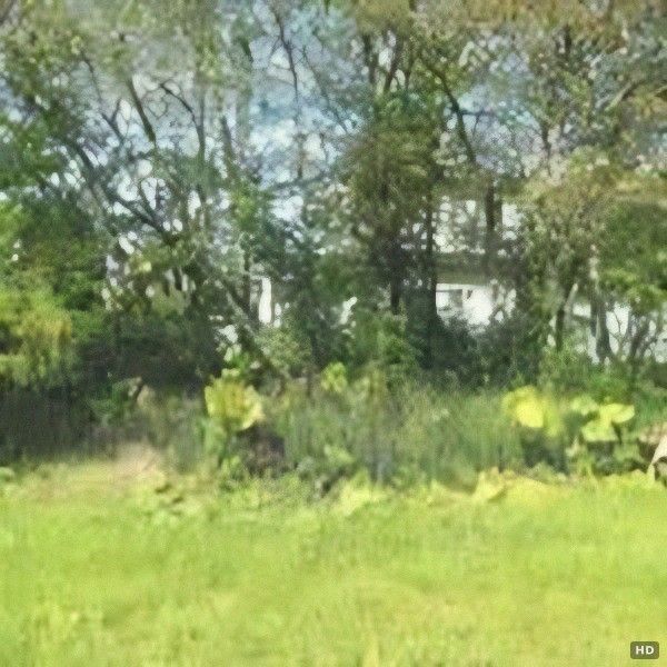 Land with Hot Spring Rights for Sale in Teshikaga, Hokkaido - Thumbnail 3