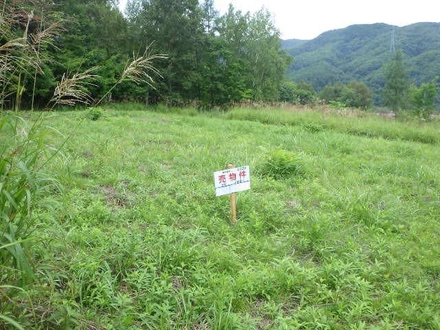 Land for Sale in Nishi Ward Sapporo Hokkaido 148 sqm - Thumbnail 2