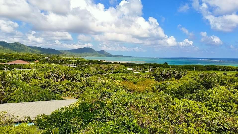 7,887 sqm Land with House in Ishigaki, Okinawa - Resort Style Property - Image 11