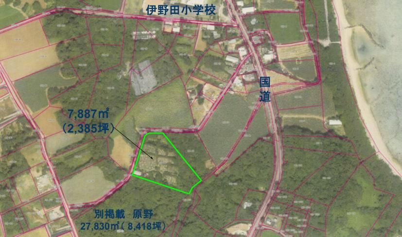 7,887 sqm Land with House in Ishigaki, Okinawa - Resort Style Property - Image 9