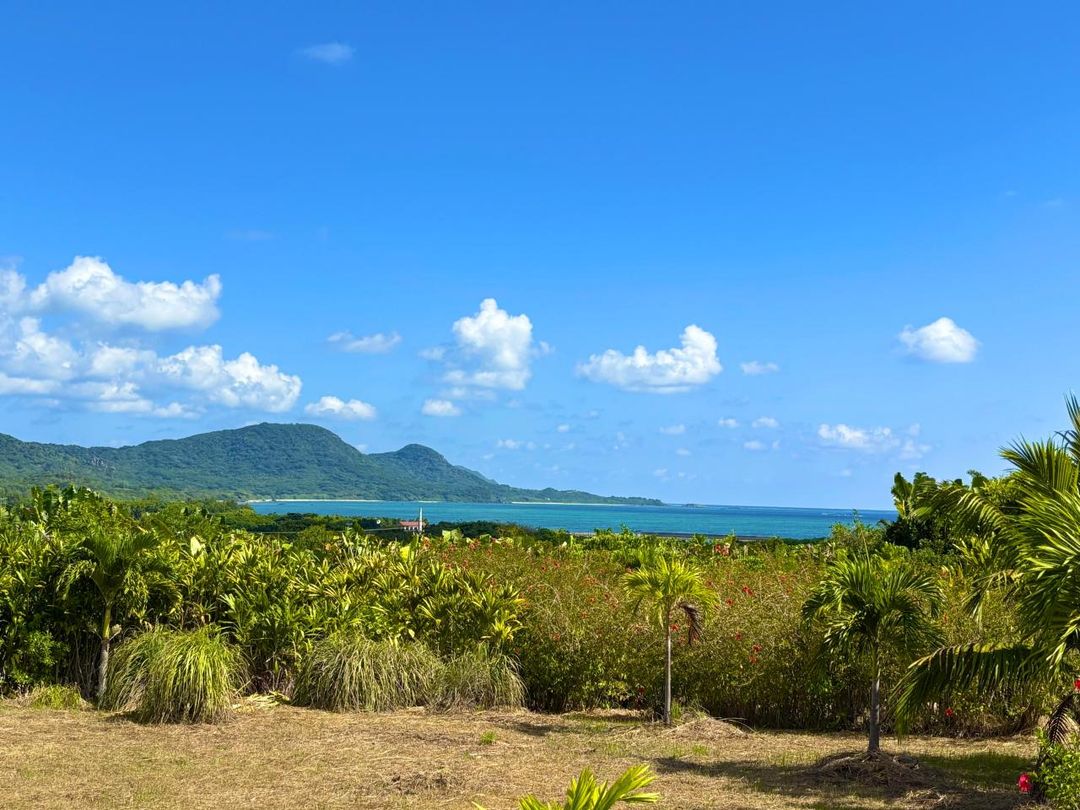 7,887 sqm Land with House in Ishigaki, Okinawa - Resort Style Property - Image 11