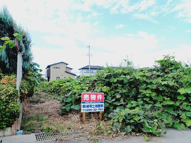 Land for Sale in Yuki City, Ibaraki - 615 sqm - Thumbnail 3