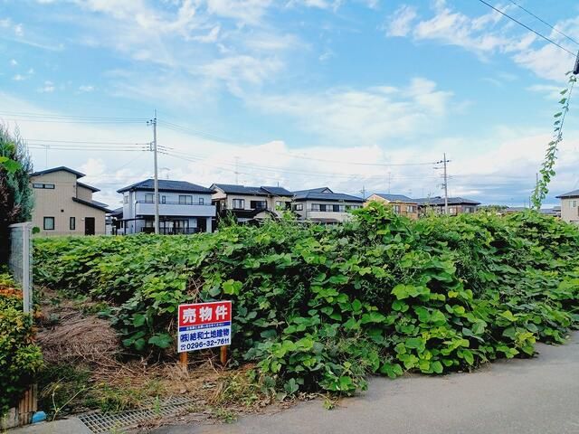 Land for Sale in Yuki City, Ibaraki - 615 sqm - Thumbnail 4