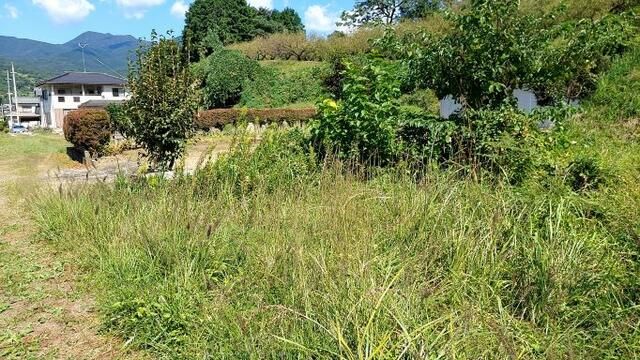 Flat 298 sqm Land Plot for Sale in Takasaki, Gunma - Thumbnail 2