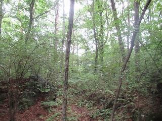 Land for Sale in Fujikawaguchiko, Yamanashi - 597 sqm Plot - Thumbnail 4